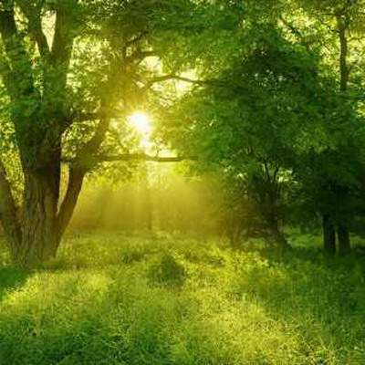 渝北有名的命理風水师哪个看得准些