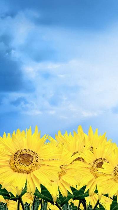 九龙坡出名的阴宅風水大師哪个看得更准