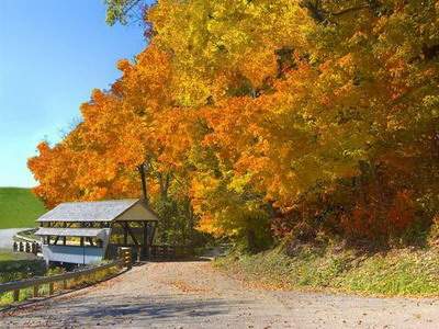 沙坪坝哪里有看商店的風水师