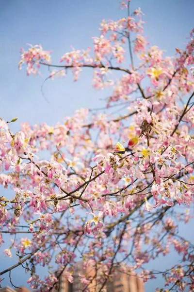 办公室摆放禁忌《穆六垚》