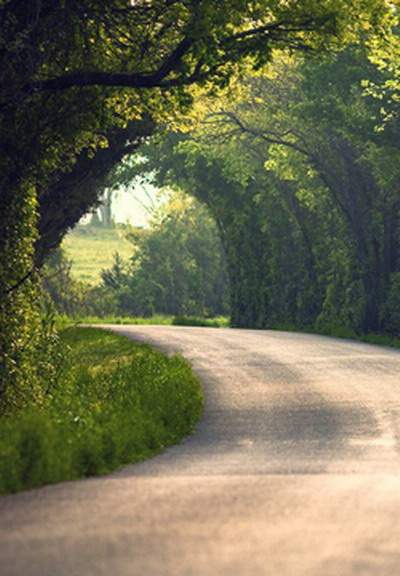 渝中民间八字命理老师哪个更厉害