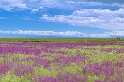 北碚哪有看阳宅的風水命理大師