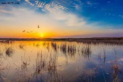 南岸比较有名的風水大師哪个