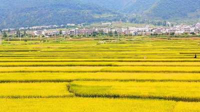 南岸哪个风水大师看茶馆风水好