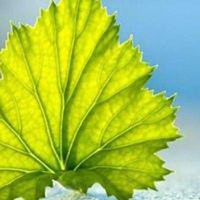 沙坪坝口碑好的風水老师谁最厉害