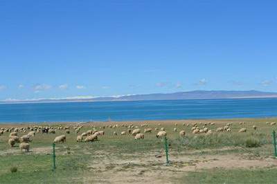 沙坪坝哪里找得到看门市的風水命理大師