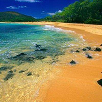 沙坪坝哪里找看购房的風水預測大師