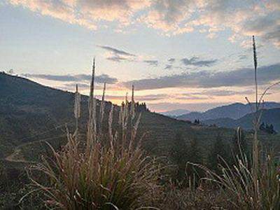 大足区季家镇哪里有看儿童卧室的風水老师