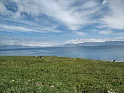 俊鸟出笼签暂时不好受灾难 风山渐卦解析