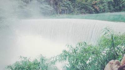 南岸哪个能看门店装修的风水预测大师