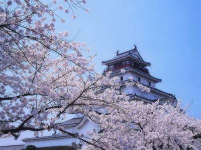 旺运的房屋户型风水_陆淼淼（叁荷）