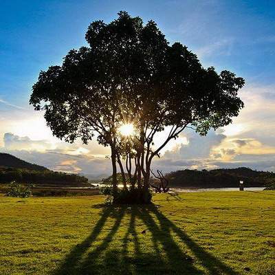 名山街道哪个易学风水大师看学校风水最有名_乾缘堂陆淼淼（叁荷）