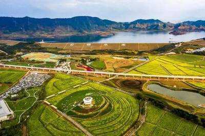 卫生间门口摆什么植物_东原嘉阅湾天澜岸