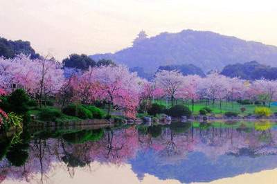 渝中哪有看奶茶店的命理大师