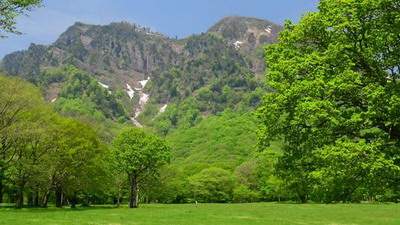 2023流年风水吉凶方位_金阳中医药健康旅游城
