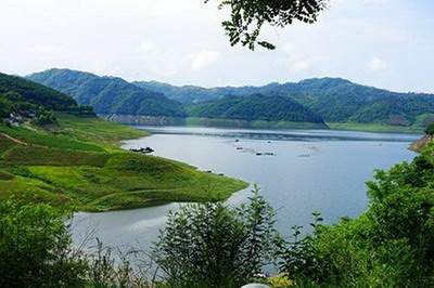 农村住宅院子种什么树木？最能招财旺子孙？_壹江城