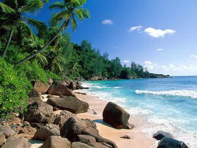 渝中哪里有看墓地的風水堪舆大師