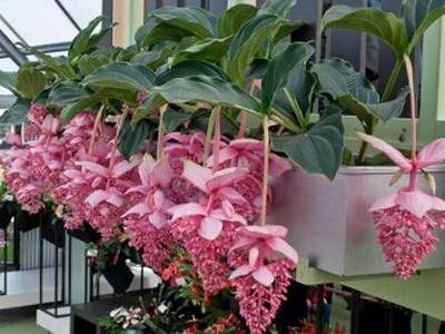 沙坪坝哪里找得到看西餐厅的易学風水师