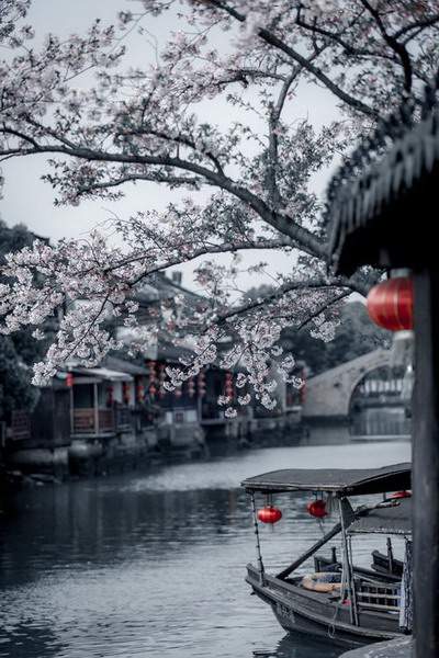 增进夫妻感情風水_金科米兰大道