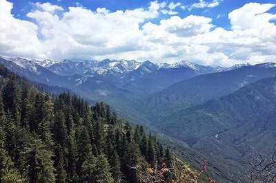 九龙坡哪里找得到看厕所的風水先生