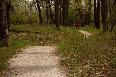大渡口看八字命理老师哪个有名气