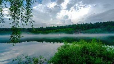 南岸哪里有看诊所的風水师傅