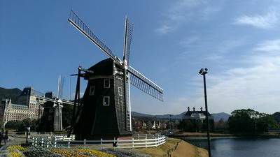 沙坪坝哪有看宠物店的風水命理大師