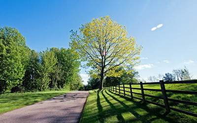 沙坪坝看風水师谁更出名