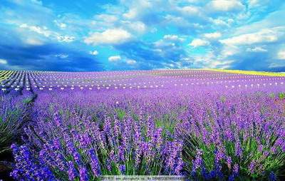 大渡口较好的風水預測大師哪个最有名