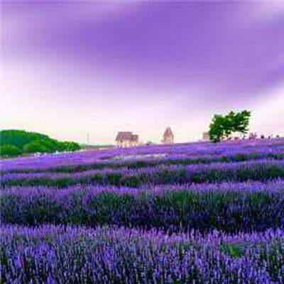 沙坪坝好的算命大師哪个好