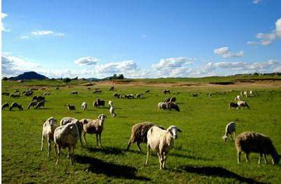 沙坪坝堪舆大師哪个