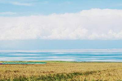 九龙坡本地易学风水大师哪个厉害