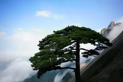 家居招财風水布局【陆淼淼（叁荷）】