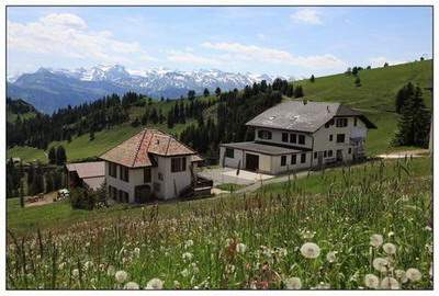 九龙坡算命風水大師算命最准