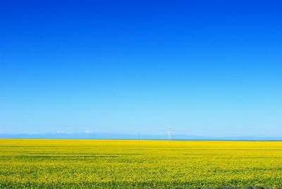 九龙坡算命風水大師算命最准