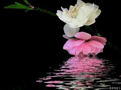 渝中哪里找得到看儿童卧室的易经風水大師