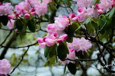 旺后代的公墓风水有哪些