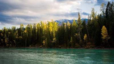 九龙坡比较有名的風水改运大師谁最有名