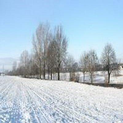 大渡口哪有看餐饮店的命理大師