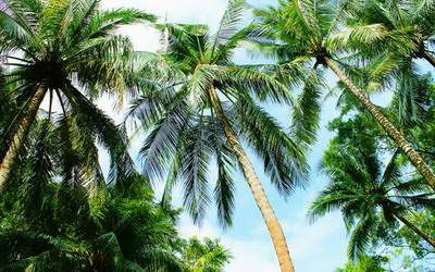 北碚专业的算命風水大師谁