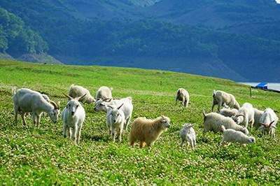 巴南找风水师傅看办公室风水怎样收费