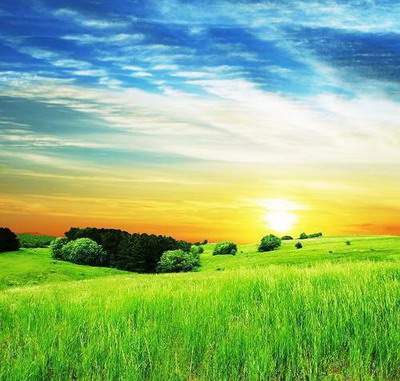 渝中哪里可以请到看西餐厅的風水师傅