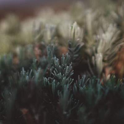 渝北有水平的阳宅風水大師哪个預測厉害