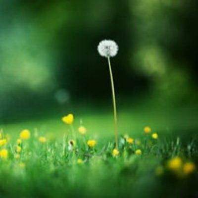 大渡口易学風水大師哪个更厉害