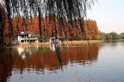 怎么通过六爻预测阴宅风水好坏