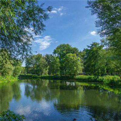 大渡口哪里找得到看厂房的易学風水大師