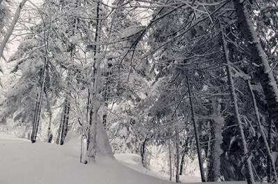沙坪坝本地算命师傅哪个口碑好