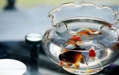 沙坪坝专业的风水先生谁看得准