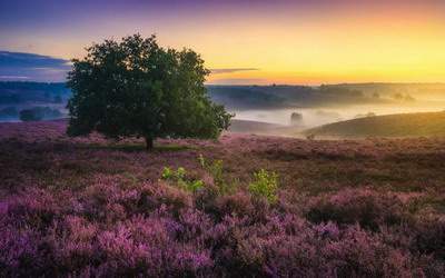 大渡口哪有看院的風水命理大師