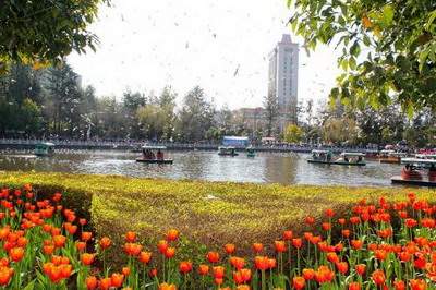 沙坪坝哪里找得到看烤肉店的風水改运大師